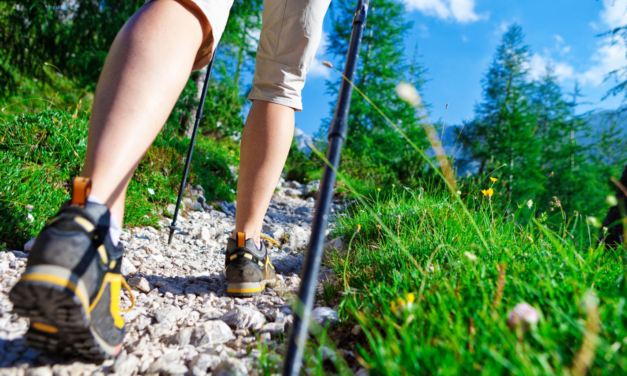 Limone Piemonte Estate Trek and nature Limone Piemonte Estate Trek and nature