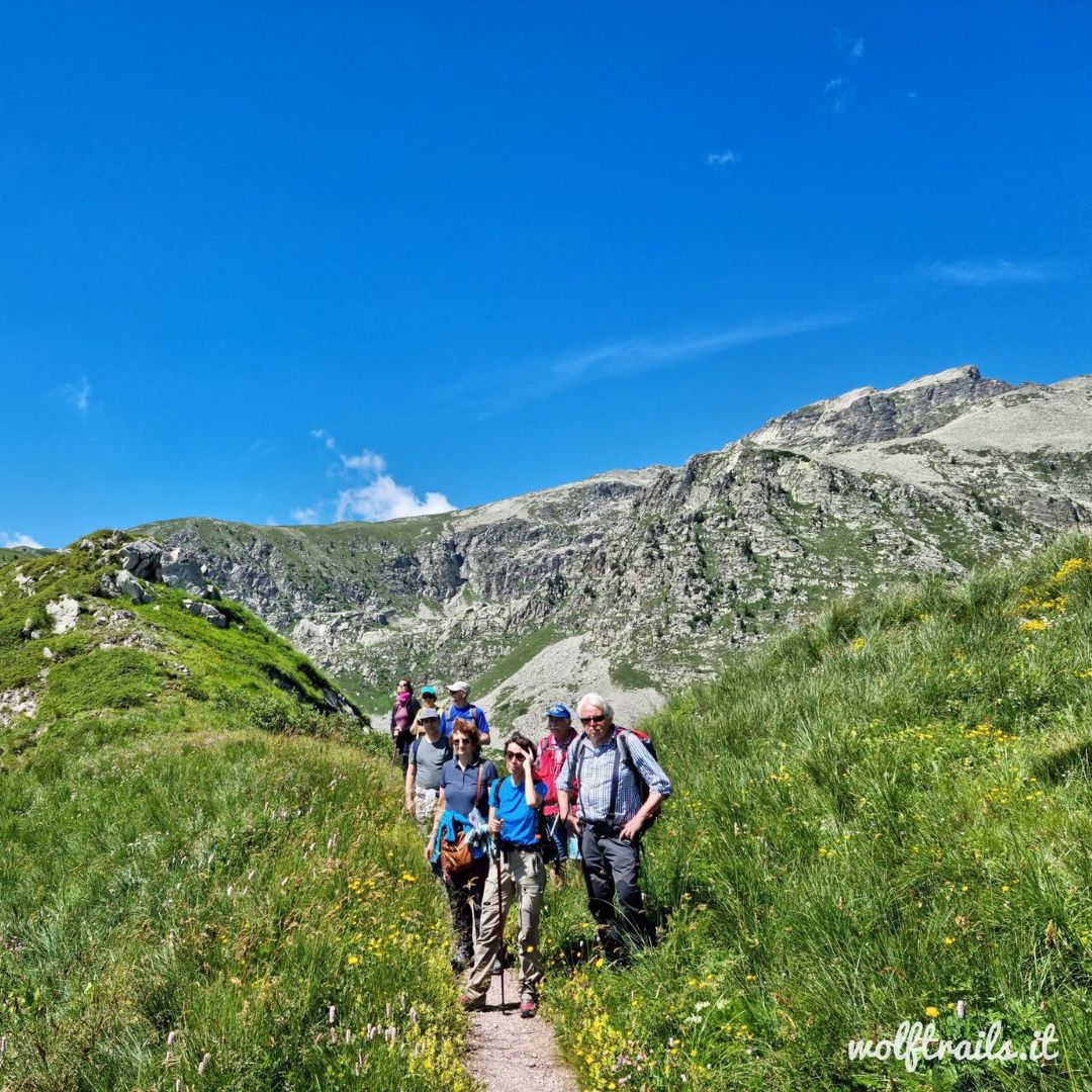 Passeggiate e sentieri limone piemonte