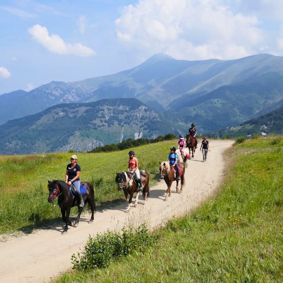 equitazione limone piemonte